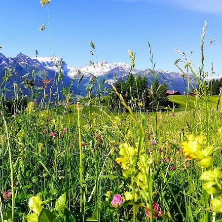 Hébergement de vacances Scenic Mountain In *