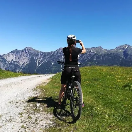 Scenic Mountain In *