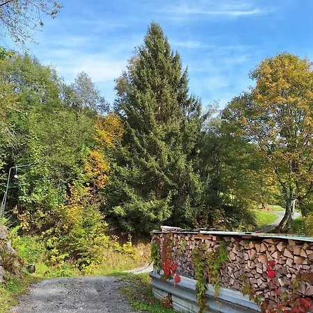 Scenic Mountain In Bartholomaeberg